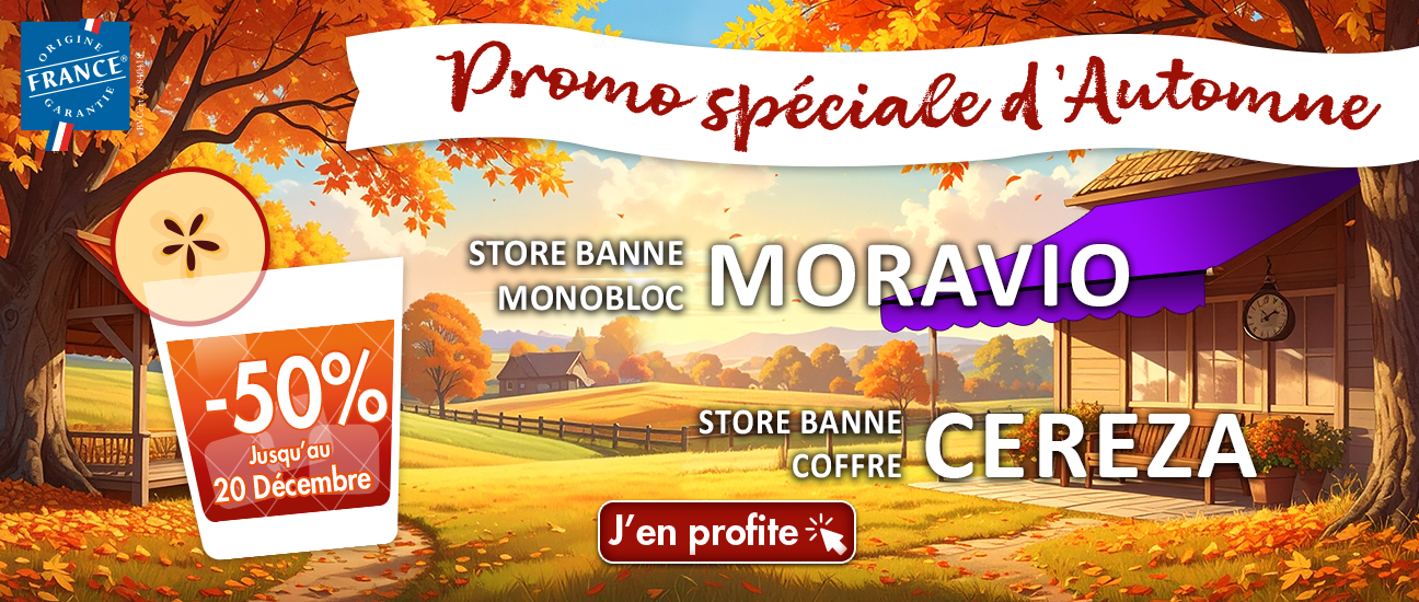 Promo stores bannes